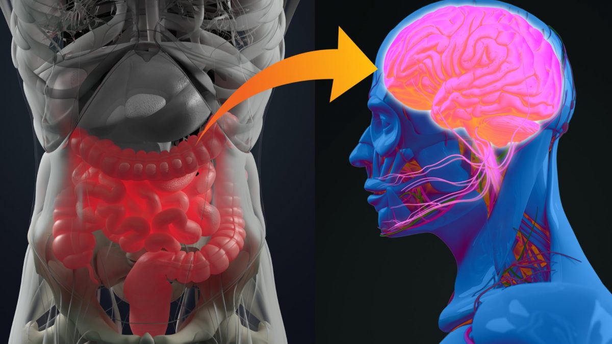 Microbiota i dolor