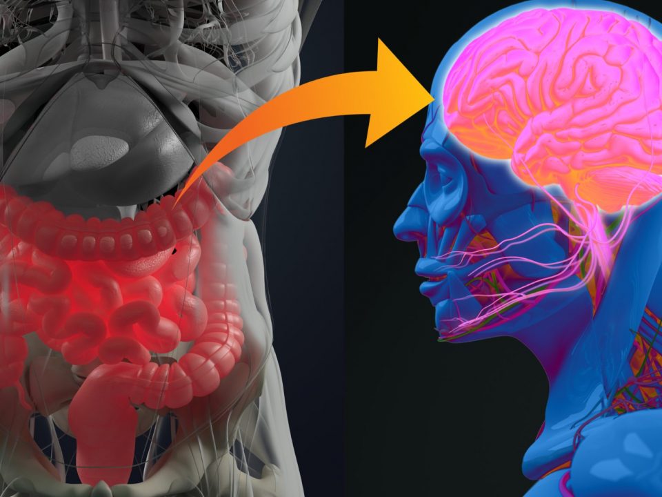 Microbiota i dolor